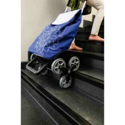 Carrello spesa saliscale